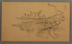 Tekening, Dennenbomen, mogelijk 1868 door Frederic Edwin Church