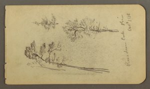 Tekening, Pijnboomstudies, 1878 door Frederic Edwin Church