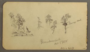 Tekening, Pijnboomstudies, 1878 door Frederic Edwin Church