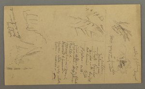 Tekening, Plantenstudies, Plantennotities, Waterval, 1868