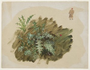 Tekening, Plantenstudies, 1865 door Frederic Edwin Church