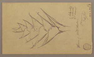 Tekening, Zeegezicht, 29 april 1865 door Frederic Edwin Church