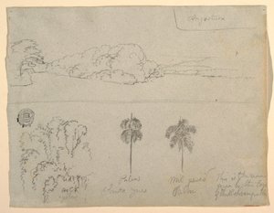 Tekening, Schetsen uit Colombia:  Oever van een rivier of baai, en bomen, 1853 door Frederic Edwin Church