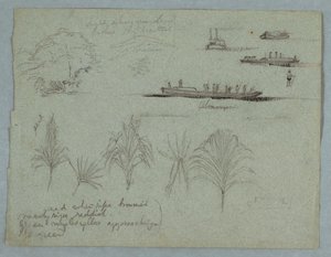 Tekening, Schetsen van de Rio Magdalena, Colombia:  Planten, stoomboot en een Champan, 1853, waarschijnlijk mei