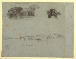 Tekening, Schetsen van bomen, wijnranken en een oever van de Rio Magdalena, Colombia, 1853, waarschijnlijk mei door Frederic Edwin Church