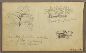 Tekening, straathoek in Guaquil, Ecuador; Verso: Botanische schetsen, huis, Ecuador of Colombia, 1857 door Frederic Edwin Church