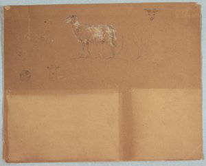 Tekening, Studies van schapen, Ecuador of Colombia, 1853 door Frederic Edwin Church