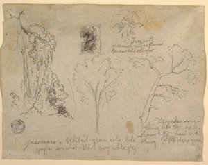 Tekening, Studies van bomen en planten gezien vanaf de Rio Magdalena, Colombia, 1853 door Frederic Edwin Church