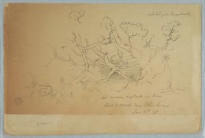 Tekening, Studies van bomen en rotsen, Weg naar Mocho bij Chimborazo, Ecuador, 16 juni 1857 door Frederic Edwin Church