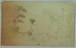 Tekening, Studies van bomen met details van bamboe en een klein detail van een man die bananen op zijn hoofd draagt, Bellevue, Jamaica, augustus 1865 door Frederic Edwin Church