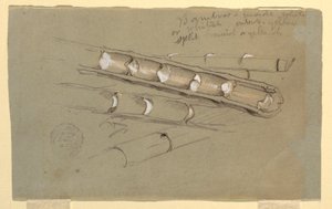 Tekening, Studie van bamboe, juni 1857 door Frederic Edwin Church