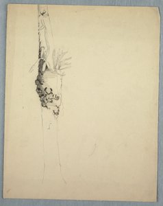Tekening, boomstam met parasitaire planten, Jamaica, mei-augustus 1865 door Frederic Edwin Church