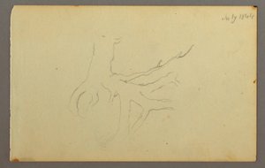 Tekening, Boomwortels, 1844 door Frederic Edwin Church
