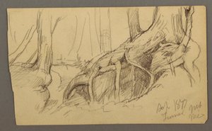Tekening, Boomwortels groeien over een rotsblok (Turner Mountain), 1877 door Frederic Edwin Church