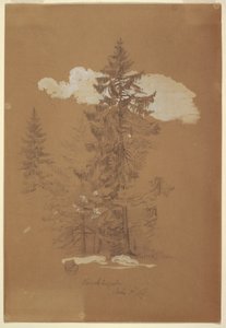 Tekening, Bomen, Berchtesgaden, Beieren, 3 juli 1868 door Frederic Edwin Church