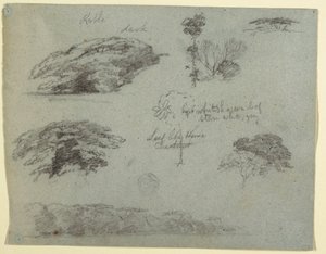 Tekening, Bomen, boomtoppen en een beboste oever, Saddleback, Maine, 1853 door Frederic Edwin Church