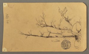 Tekening, Bomen, keien, 1878 door Frederic Edwin Church