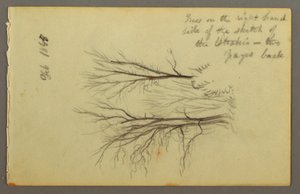 Tekening, Bomen door Htakie () Pond, 1845 door Frederic Edwin Church