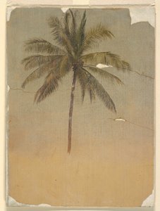 Tekening, Stam en top van een palmboom, 1865 door Frederic Edwin Church