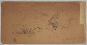 Tekening, Gezicht op Toche, Colombia, juli 1853 door Frederic Edwin Church