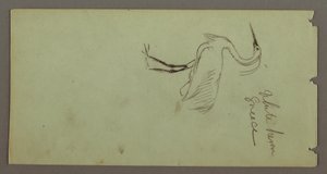 Tekening, Witte reiger, mogelijk 1869 door Frederic Edwin Church