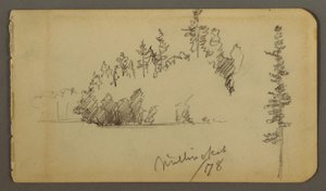 Tekening, Bosachtige oever, boomstudie, 1878 door Frederic Edwin Church