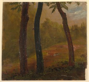 Tekening, Boslandschap, Jamaica, 1865 door Frederic Edwin Church