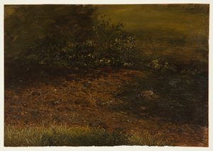 Tekening, Bosbeek in de Catskills, september 1848 door Frederic Edwin Church