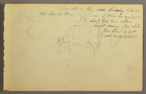 Tekening, stralen tussen wolken, stieren, mogelijk 1877 door Frederic Edwin Church