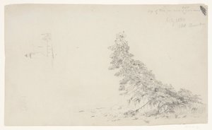 Altijdgroene Boom bij de Kust met een Detail van de Vuurtoren en een Huis, Mount Desert, Maine