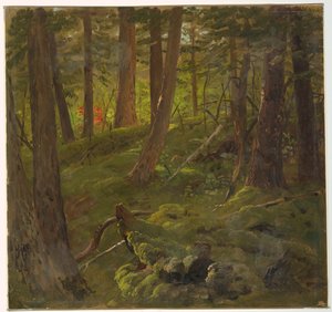 Bos in Jamaica door Frederic Edwin Church