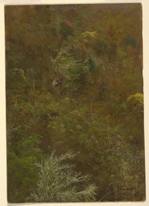 Heuvel met bomen, Jamaica door Frederic Edwin Church