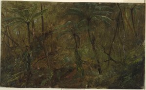 In het bos, Jamaica