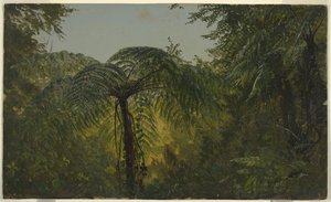 Jungle Gebladerte, Jamaica