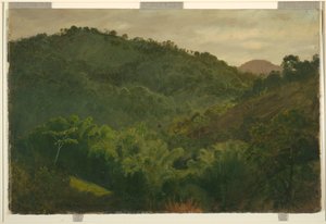 Landschap uit Jamaica