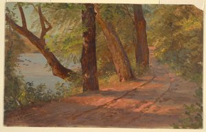 Landschap uit Noord-Amerika (Weg bij een meer) door Frederic Edwin Church
