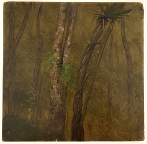 Landschap in Jamaica