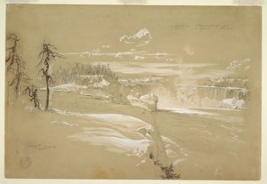 Niagara Watervallen in de Winter