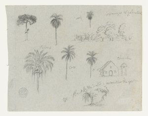 Schetsen van de Rio Magdalena, Colombia.  Botanische schetsen. Een kerk.  Vergelijkbaar met -103. door Frederic Edwin Church