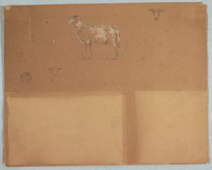 Studies van Schapen, Ecuador of Colombia door Frederic Edwin Church