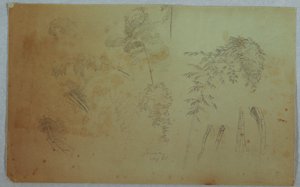 Studies van boomtoppen en bamboe, Jamaica door Frederic Edwin Church