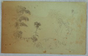 Studies van Bomen met Details van Bamboe en een Klein Detail van een Man die Bananen op zijn Hoofd Draagt, Bellevue, Jamaica door Frederic Edwin Church