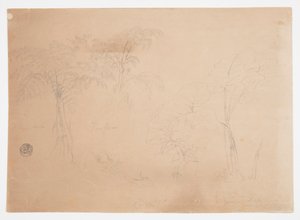 Studie van twee bomen en drie planten, nabij Jorje, Ecuador door Frederic Edwin Church