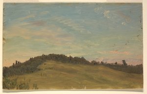 Zomerlandschap door Frederic Edwin Church