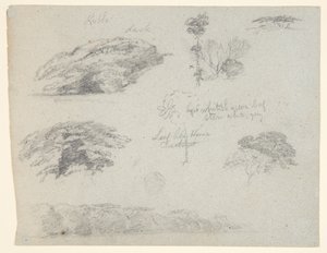 Bomen, boomtoppen en een beboste oever, Saddleback, Maine