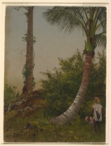 Bomen in Jamaica, West-Indië door Frederic Edwin Church