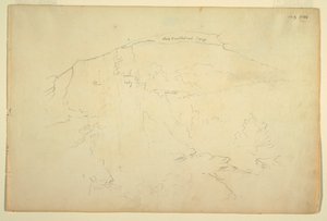 Bosrijke Heuvel, Catskill Bergen door Frederic Edwin Church