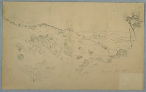 Bosrijke vallei met een grote varen en verre bergketens, Jamaica door Frederic Edwin Church