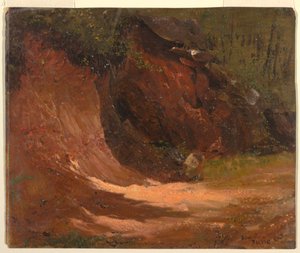 Bosrand, Jamaica door Frederic Edwin Church