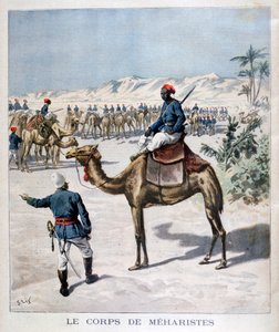 Mehariste korps, 1894